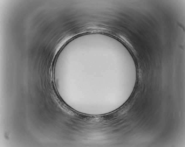 X0000100480891200806130730