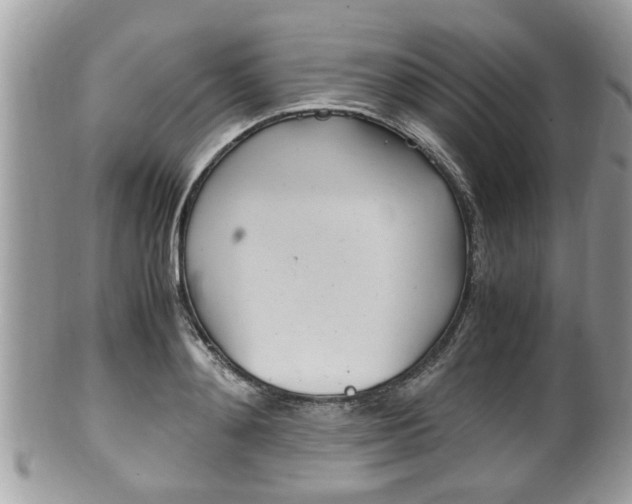 X0000100480892200806130730