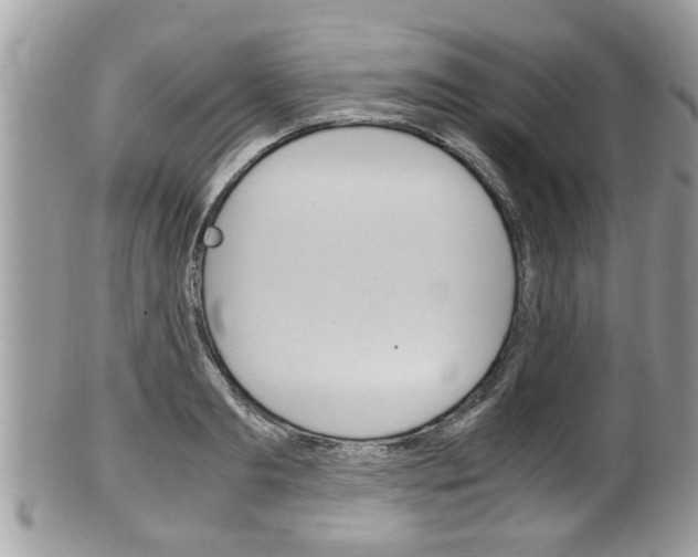 X0000100480893200806130730
