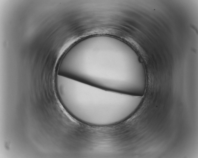 X0000100480894200806130730