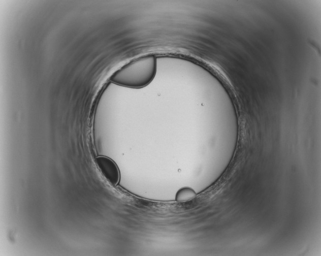 X0000100480895200806130730
