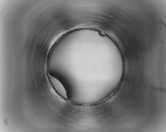 X0000100480896200806130730