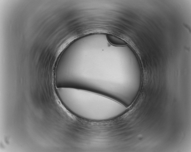 X0000100480898200806130730
