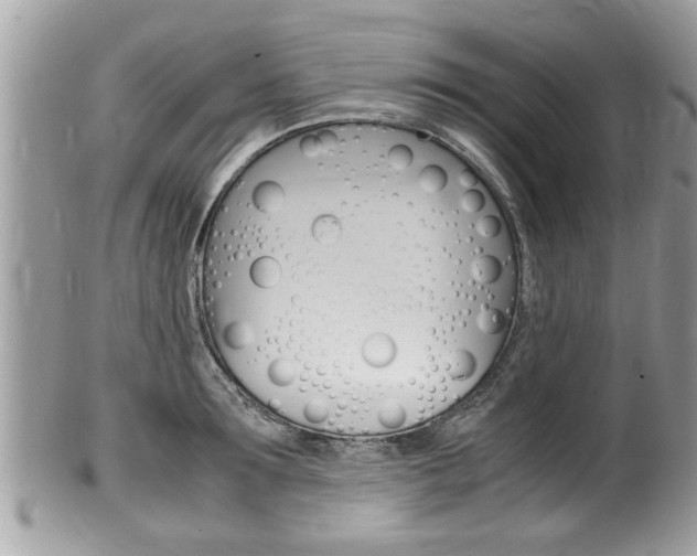 X0000100480899200806130730
