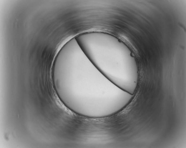 X0000100480900200806130730