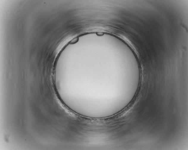 X0000100480901200806130730