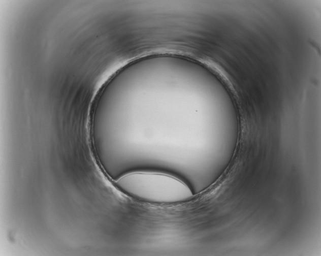 X0000100480902200806130730