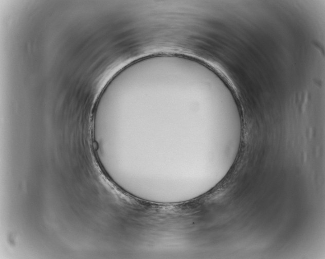 X0000100480903200806130730