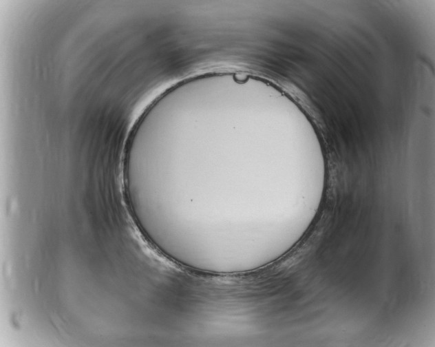 X0000100480904200806130730