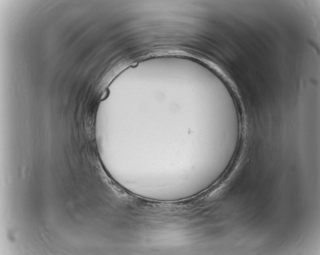 X0000100480905200806130730
