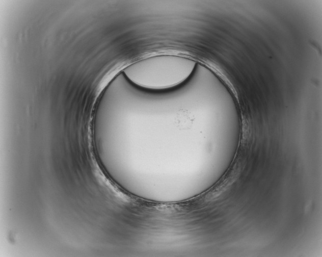 X0000100480906200806130730