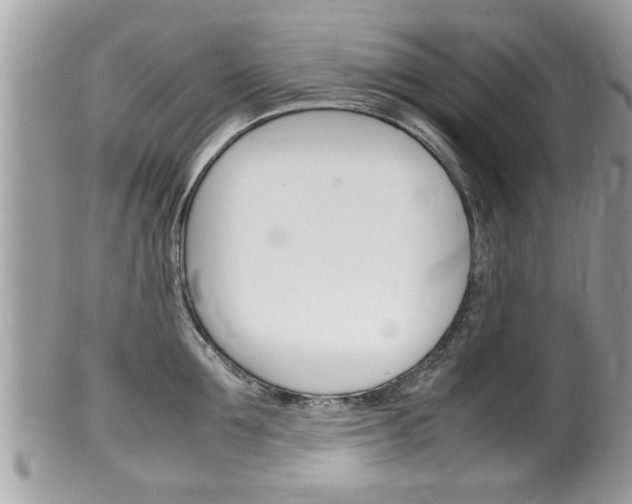 X0000100480907200806130730