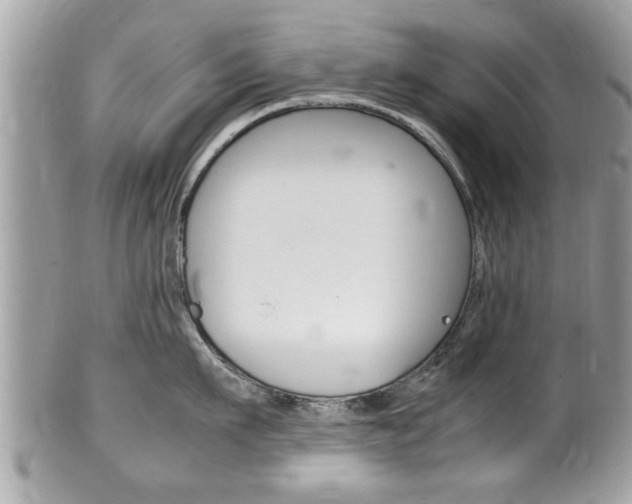 X0000100480911200806130730