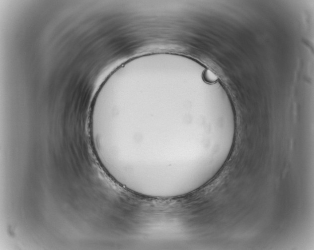 X0000100480912200806130730