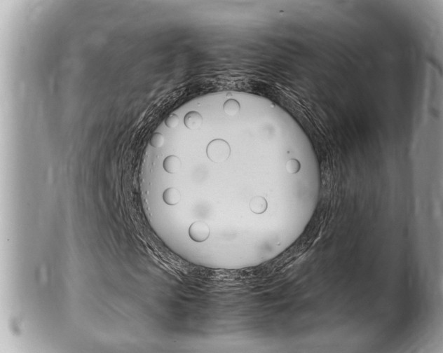 X0000100480913200806130729