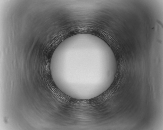 X0000100480914200806130729