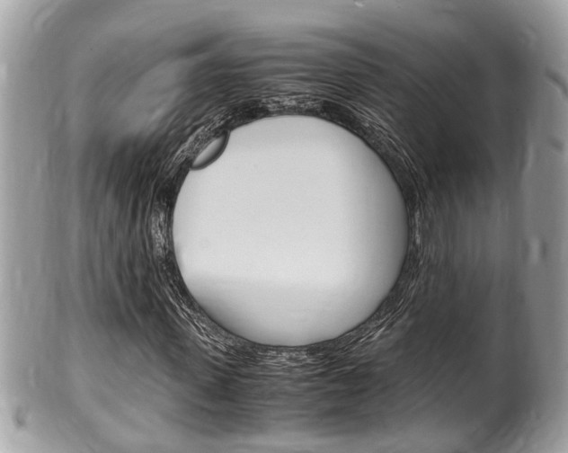 X0000100480915200806130729