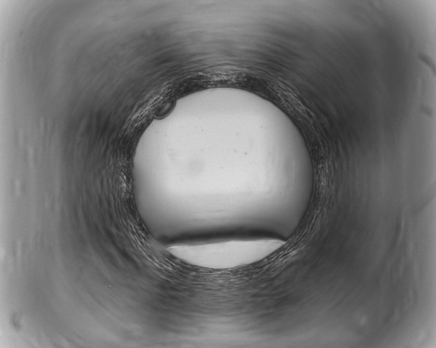 X0000100480916200806130729