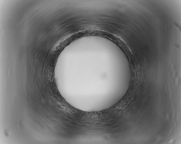 X0000100480919200806130729