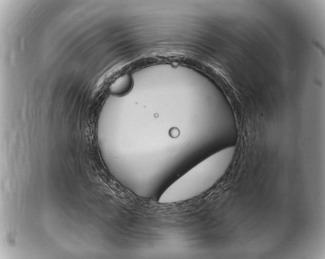 X0000100480920200806130729
