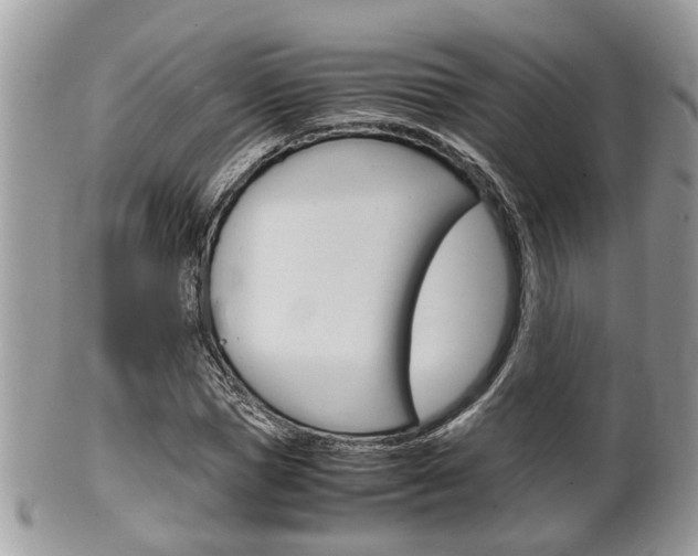 X0000100480921200806130729