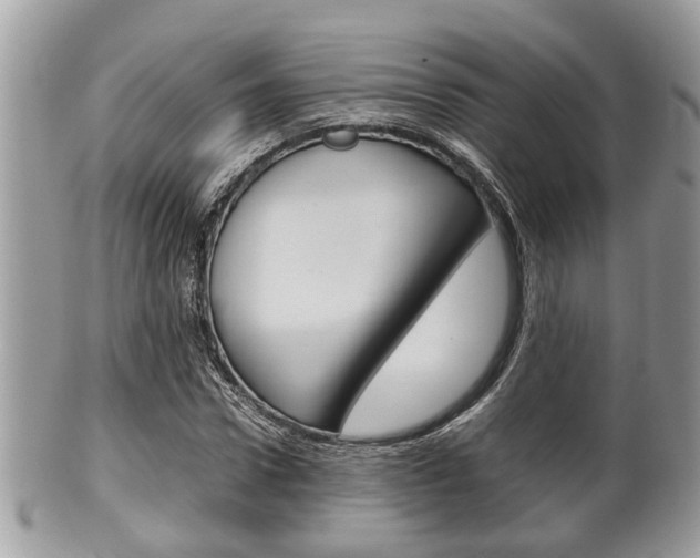 X0000100480922200806130729