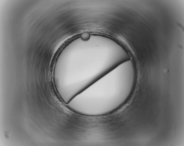 X0000100480924200806130729