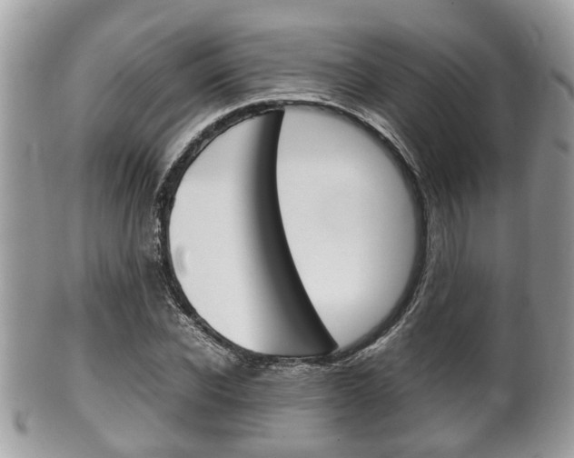 X0000100480926200806130729