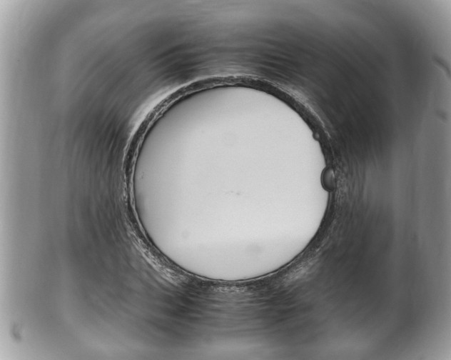 X0000100480927200806130729