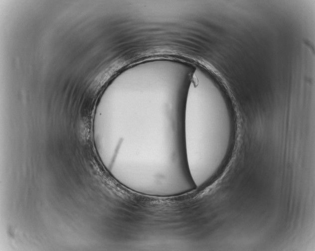 X0000100480929200806130729