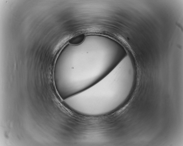 X0000100480930200806130729