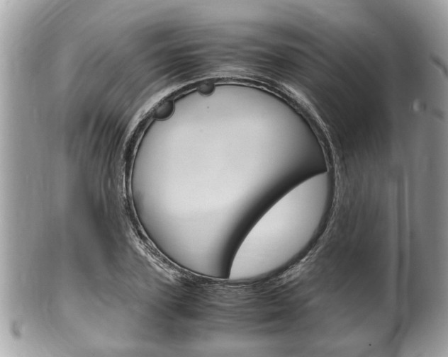 X0000100480931200806130729