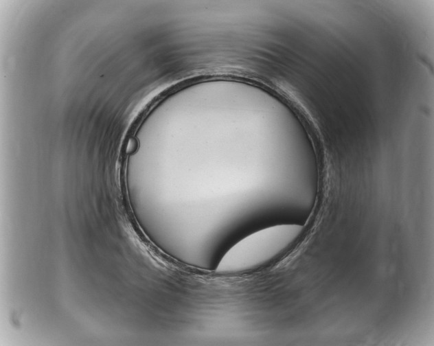 X0000100480932200806130729