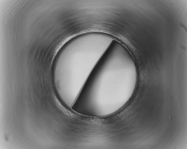 X0000100480934200806130729