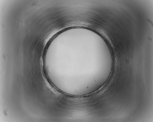 X0000100480936200806130729