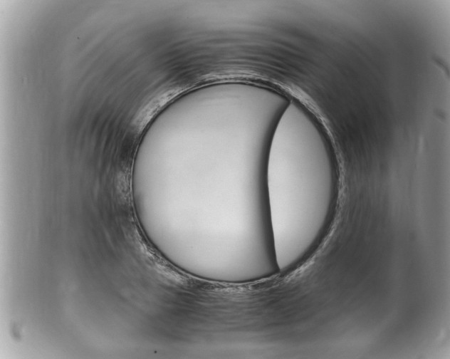 X0000100480937200806130729