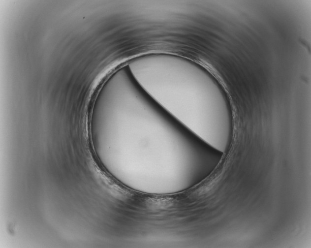 X0000100480939200806130729