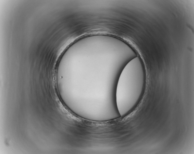 X0000100480941200806130729