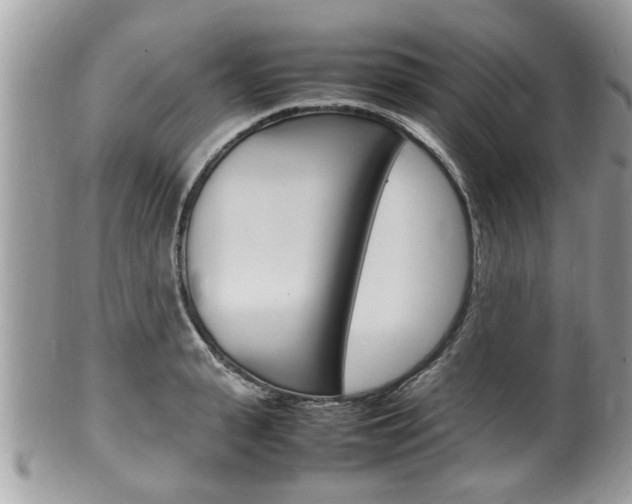 X0000100480943200806130729