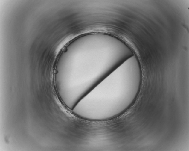 X0000100480944200806130729