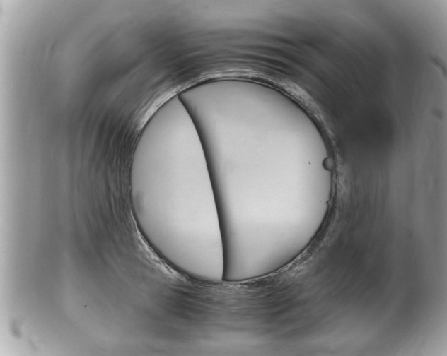 X0000100480945200806130729