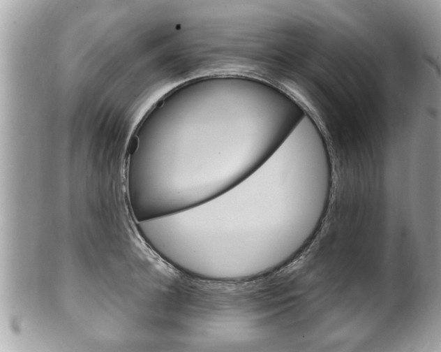 X0000100480948200806130729