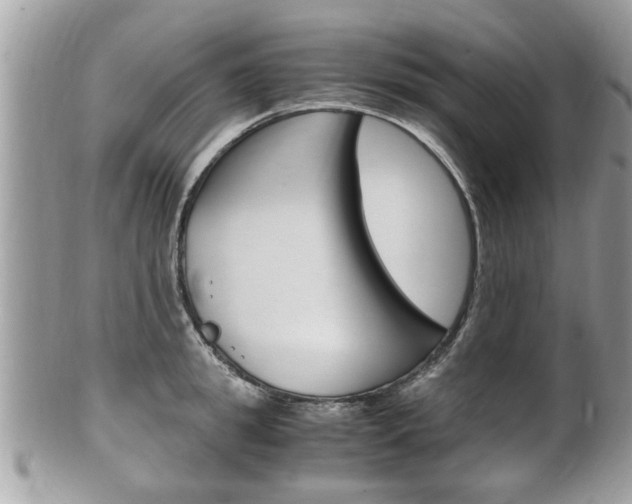 X0000100480949200806130729