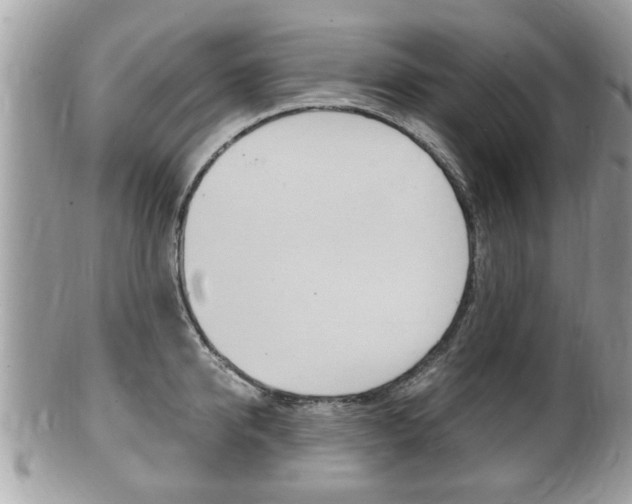 X0000100480950200806130729
