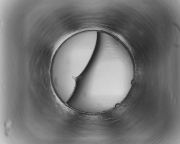 X0000100480951200806130729
