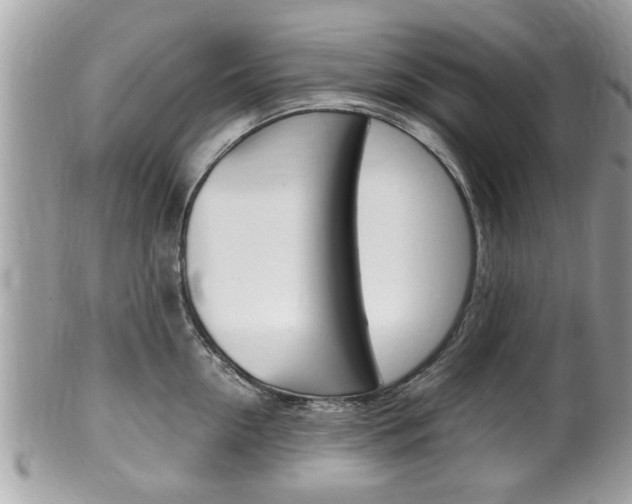 X0000100480954200806130730