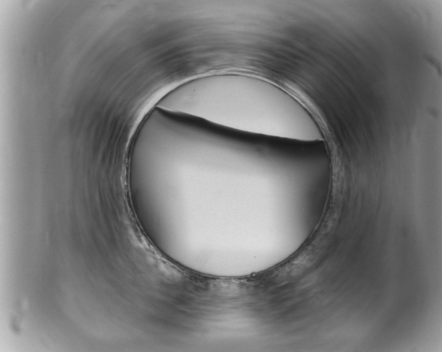 X0000100480956200806130730