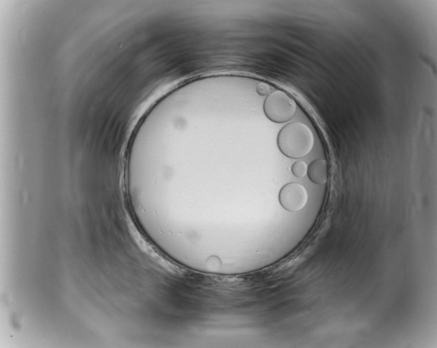 X0000100480957200806130730