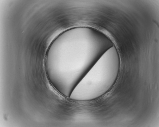 X0000100480958200806130730