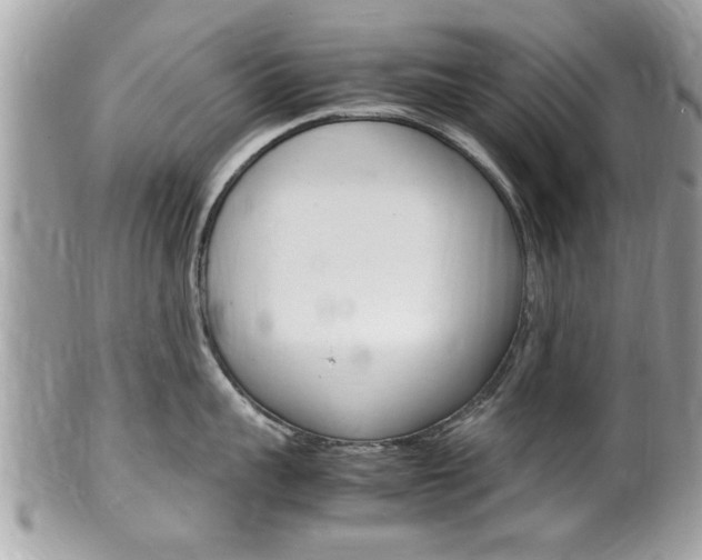 X0000100480959200806130730